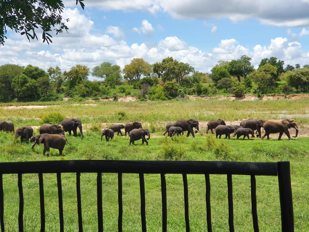 Umkumbe Safari Lodge Riverside Skukuza Εξωτερικό φωτογραφία