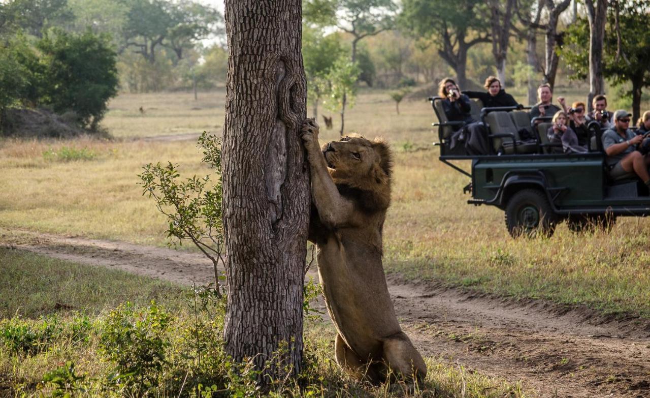Umkumbe Safari Lodge Riverside Skukuza Εξωτερικό φωτογραφία